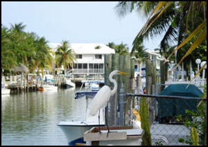 Waterfront homes in Crystal River Florida