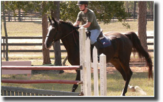 Central Florida horse property and acreage